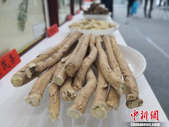 圖為在中國(甘肅)中醫藥產業博覽會上亮相的中藥材。　李亞龍 攝