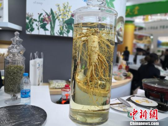 圖為中國(甘肅)中醫藥產業博覽會上展出的中藥材。　李亞龍 攝
