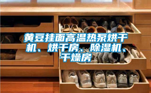 黃豆掛面高溫?zé)岜煤娓蓹C(jī)、烘干房、除濕機(jī)、干燥房